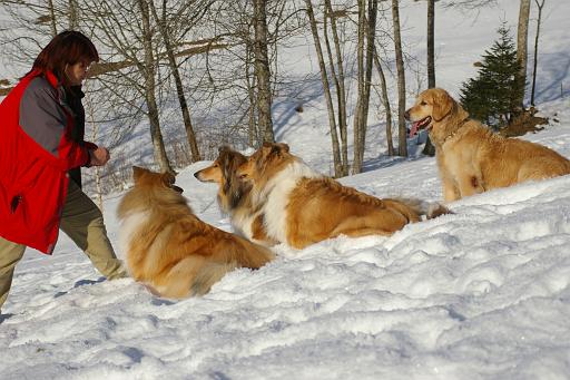 Fotos f. Homepage Galerie 011